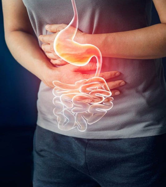 Enfermedades Digestivas Comunes: Causas, Soluciones